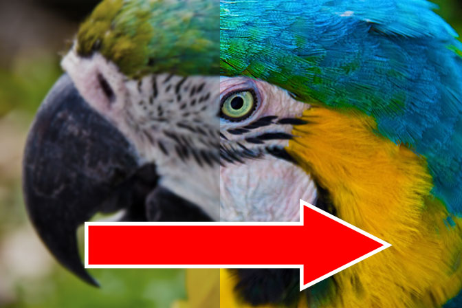 Photoshopを2日で学んで写真加工をマスターする